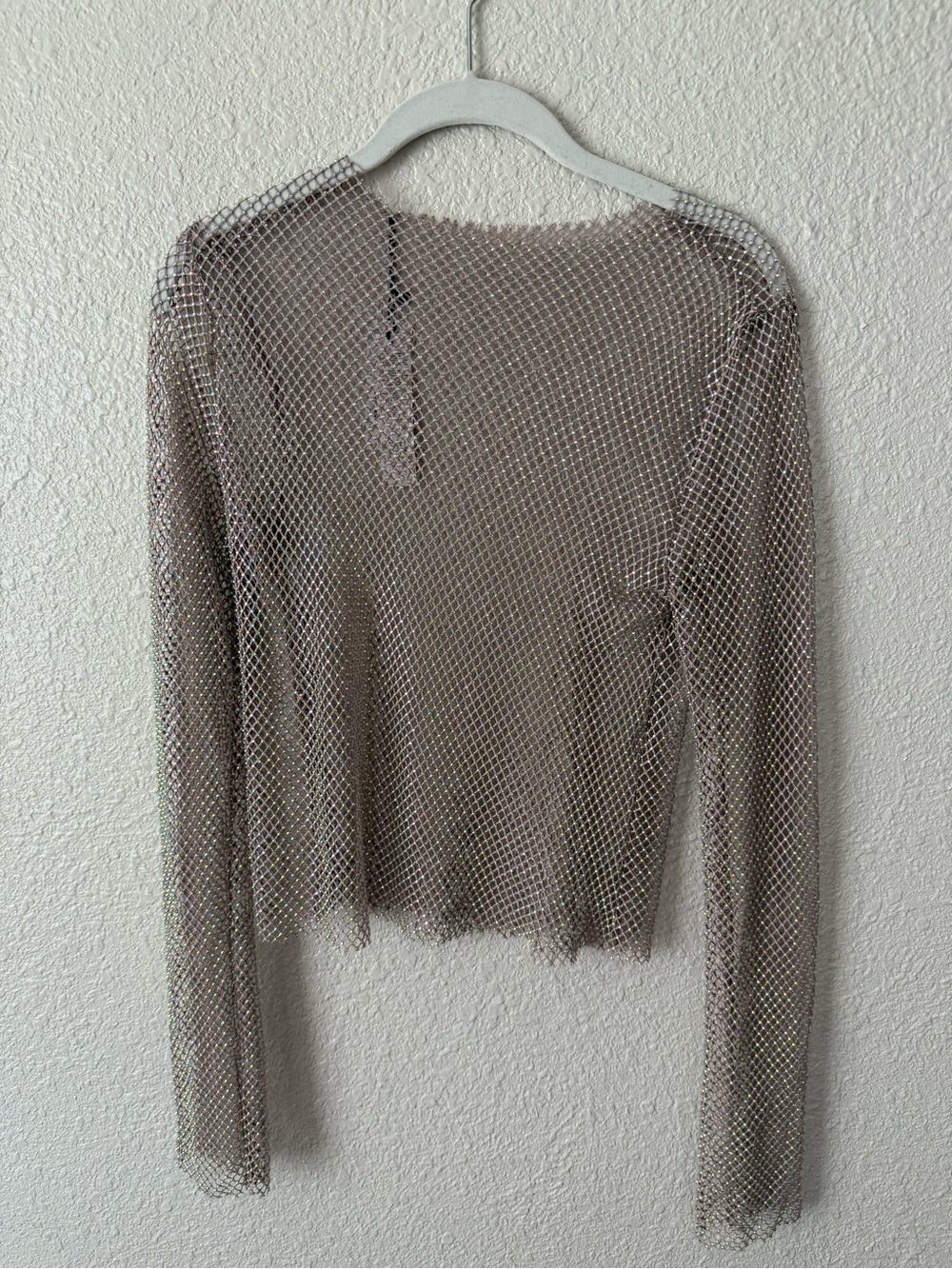 Nasty Gal Taupe Metallic Mesh Long-Sleeve Crop Top